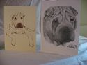 ID-#30.Shar-Pei note cards, pack of 10
